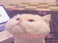 海南漾兆网络科技有限公司