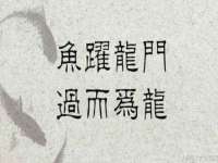 海南漾兆网络科技有限公司