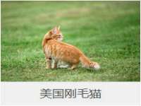 海南漾兆网络科技有限公司