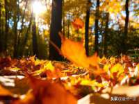 海南漾兆网络科技有限公司