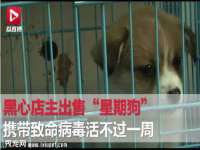 海南漾兆网络科技有限公司