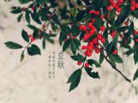 海南漾兆网络科技有限公司