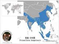 海南漾兆网络科技有限公司