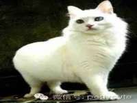 海南漾兆网络科技有限公司