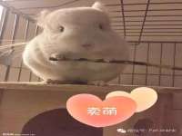 海南漾兆网络科技有限公司