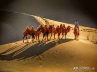 海南漾兆网络科技有限公司
