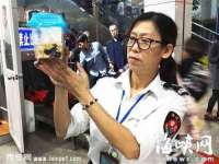 海南漾兆网络科技有限公司