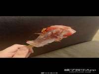 海南漾兆网络科技有限公司